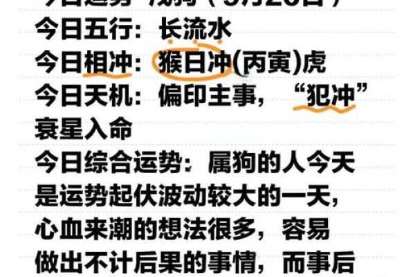 阳光下的属狗人生：二十九岁的命运与选择