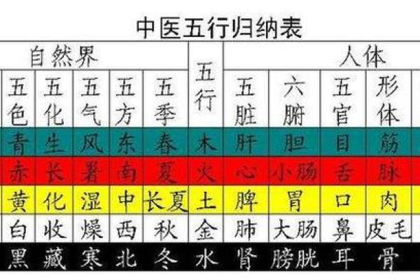 水命与五行相生相克：最佳搭配与运势解析