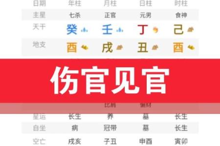 探秘命理中的伤官,揭示其深刻含义与人生影响