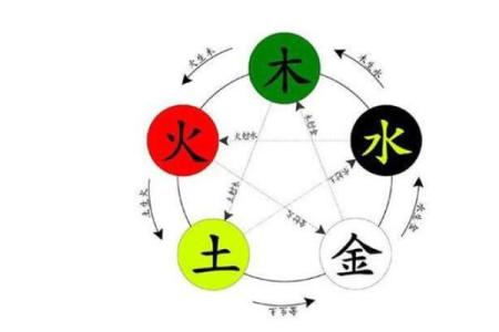 松柏木命与五行相生相克的和谐之道