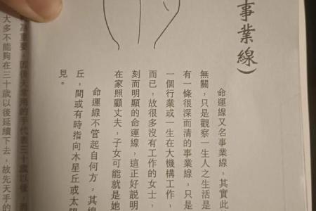 探寻手相的奥秘:从掌纹看命运与性格之谜