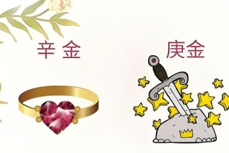 探寻五行之中的金命:揭开生命的奥秘与智慧