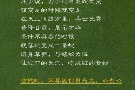 土蛇大林木命的命名智慧与命运之美