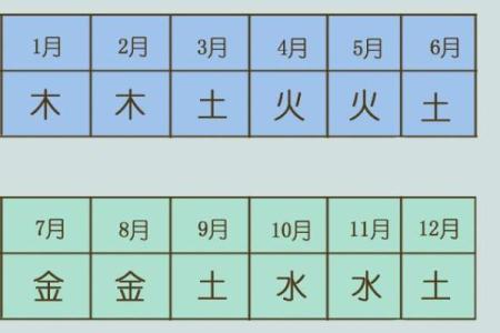 探索属虎人的命理:金木水火土的深刻影响