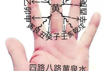 水命人优势与挑战：如何在五行中找到水的灵性之道