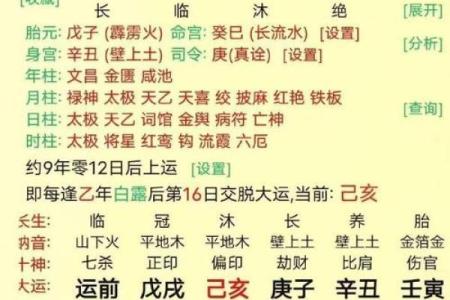 乙未月出生的土命揭示：命理与人生的深刻联系