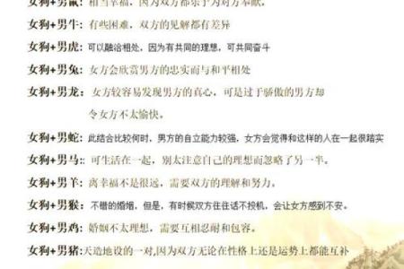 阳光下的属狗人生:二十九岁的命运与选择