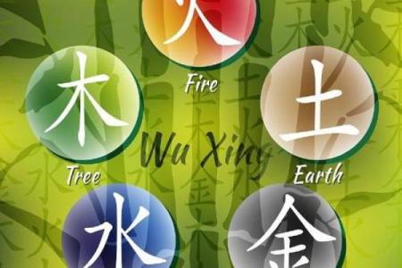 探秘石榴木命:五行与适合行业的完美结合