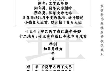 阴木命与阳木命:探索命理中的木元素奥秘