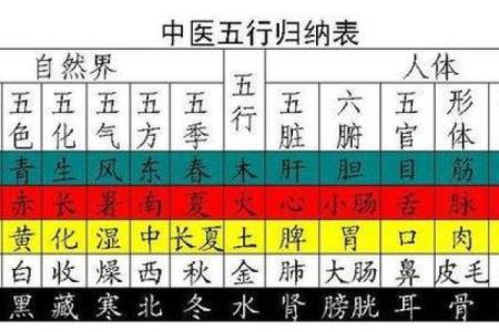水命与五行相生相克：最佳搭配与运势解析