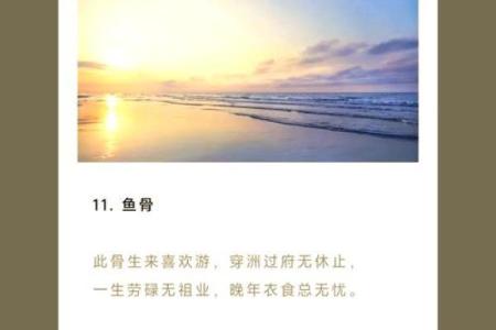 探索农历七月十六出生人的命运与性格特点