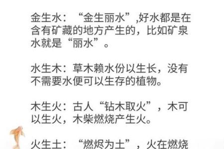 五行命理:探寻命运与生活的奥秘