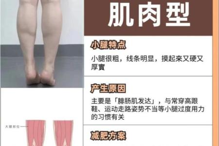 腿的五行属性解析与命理探秘