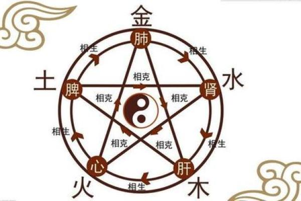 探索命理的奥秘：木命、水命与火命的深刻解析