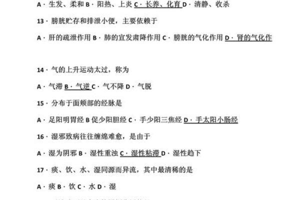 土命解析：如何理解五行中土的特性与优势