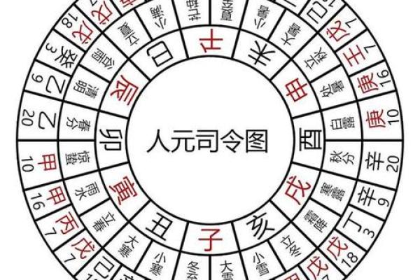 寅木藏干：解读命主命理中的独特影响与智慧