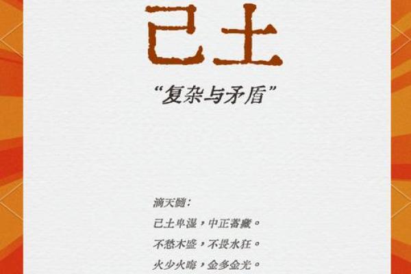 戊寅己卯城墙土命的深刻内涵与生活启示
