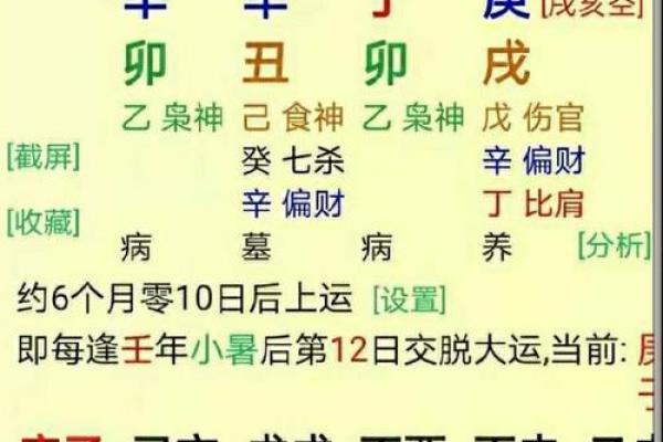 五行命理的奥秘：如何通过命理推算人生轨迹与运势