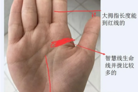 水命女性最佳配偶命格分析：寻找人生伴侣的指南