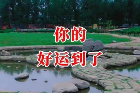 阴历七月十三出生者命理解析:神秘与福运的交织