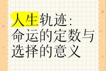 万般皆是命:探寻命运与选择的交汇点
