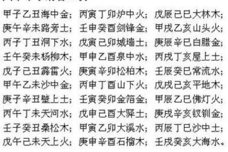 乙亥日男命八字解析:哪些地支最为适合,助你福泽绵延!