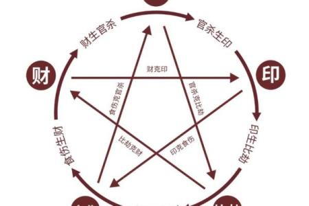探索五行属性与人生命运的奥秘