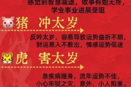 真正逆天改命的生肖:带你走向人生巅峰的神秘生肖