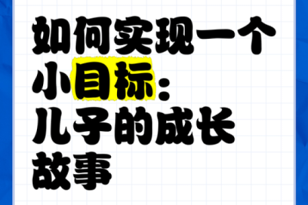 探索“一个半儿子”的命运:家庭、责任与成长之路