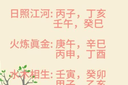 探索石榴木命男命的最佳配对,解读命理之道