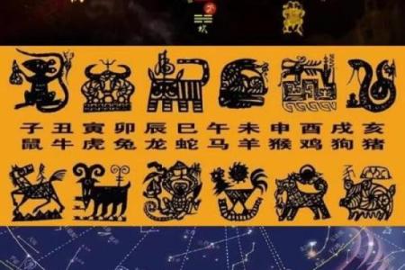 探索九个螺的命理奥秘,揭示命运的变化与可能性