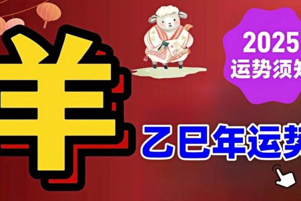五十五岁的羊是什么命：揭秘命理与生肖的奥秘