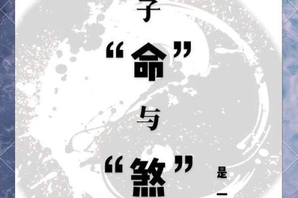 童子命之外的命理探秘：揭开命运的多元面纱