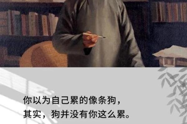 探秘吴诗桐的五行命格之旅，揭示命运的奥秘与人生的选择