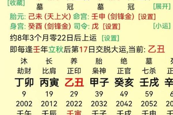 探索戊辰、辛酉、辛巳、癸巳四命的命理奥秘与人生启示