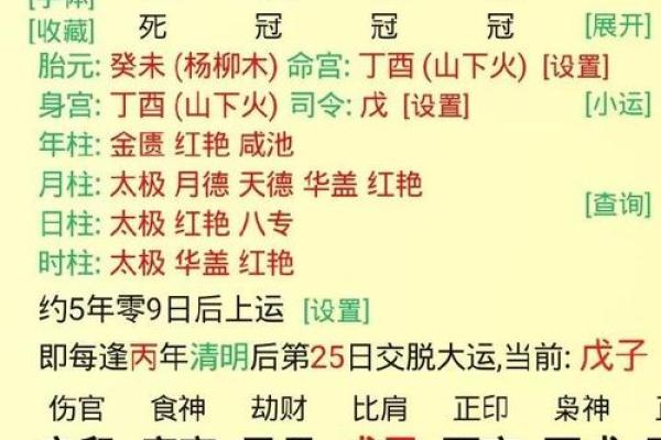 探索戊辰、辛酉、辛巳、癸巳四命的命理奥秘与人生启示