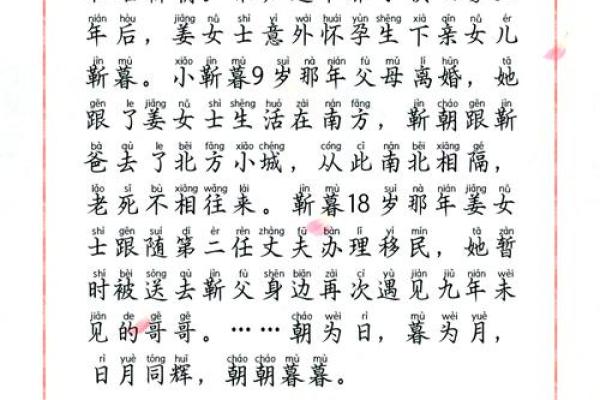五年猫八年狗：它们的命运与人类的情感交织