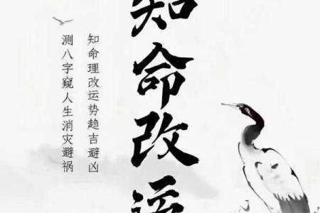 温晴晴:命里缺什么,如何趋吉避凶,开启人生新篇章