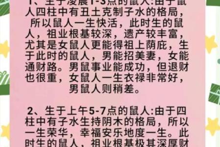 探秘属相老鼠:守财与命运的奥秘