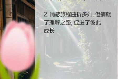 相依为命的爱情观:爱的深情与相互扶持的旅程