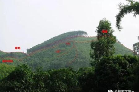 探秘山中安葬风水:男命女命的归宿之道