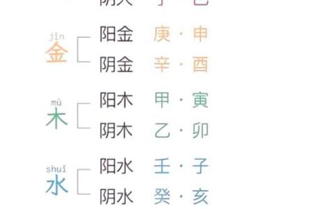五十五岁的羊是什么命:揭秘命理与生肖的奥秘