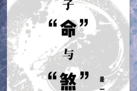 童子命之外的命理探秘:揭开命运的多元面纱
