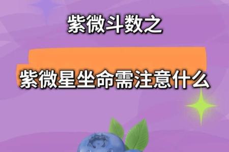 探索紫微命:为何它被视为豪门命的象征
