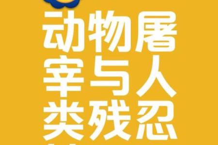 为何动物的命不是命?揭开人类与动物的亲密关系与责任