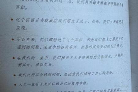 探秘吴诗桐的五行命格之旅,揭示命运的奥秘与人生的选择
