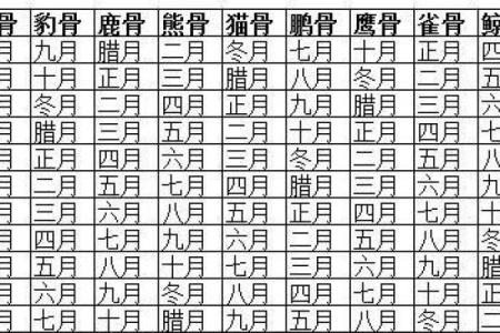五月水虎命理解析:探索个性与运势之间的缺失与补充