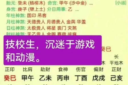 朱雀命格:追寻星辰的印记与命运的智慧