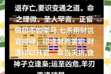 辛亥月男命解析:命理中的智慧与人性之美