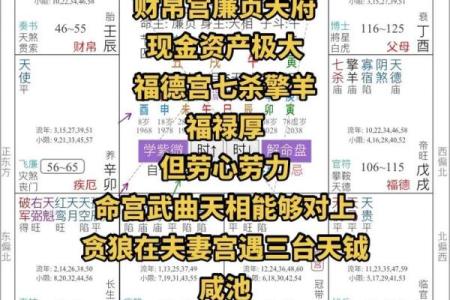 探秘命理:伤官坐食神的独特命格解析